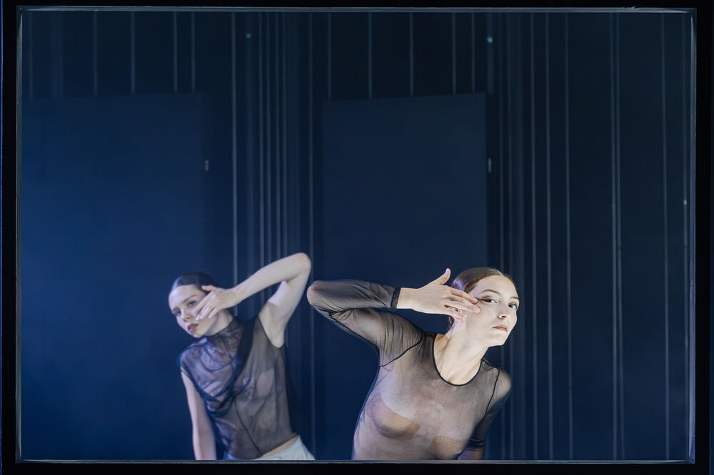 Nea Jankovic, Lily Gentile