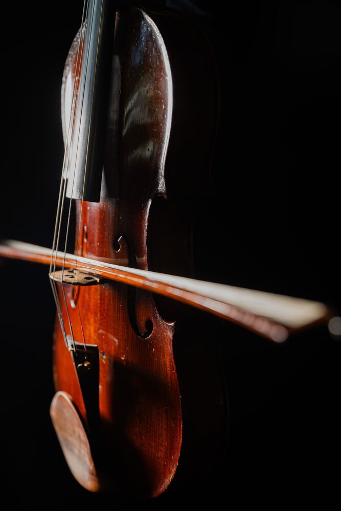 Nahaufnahme einer Violine