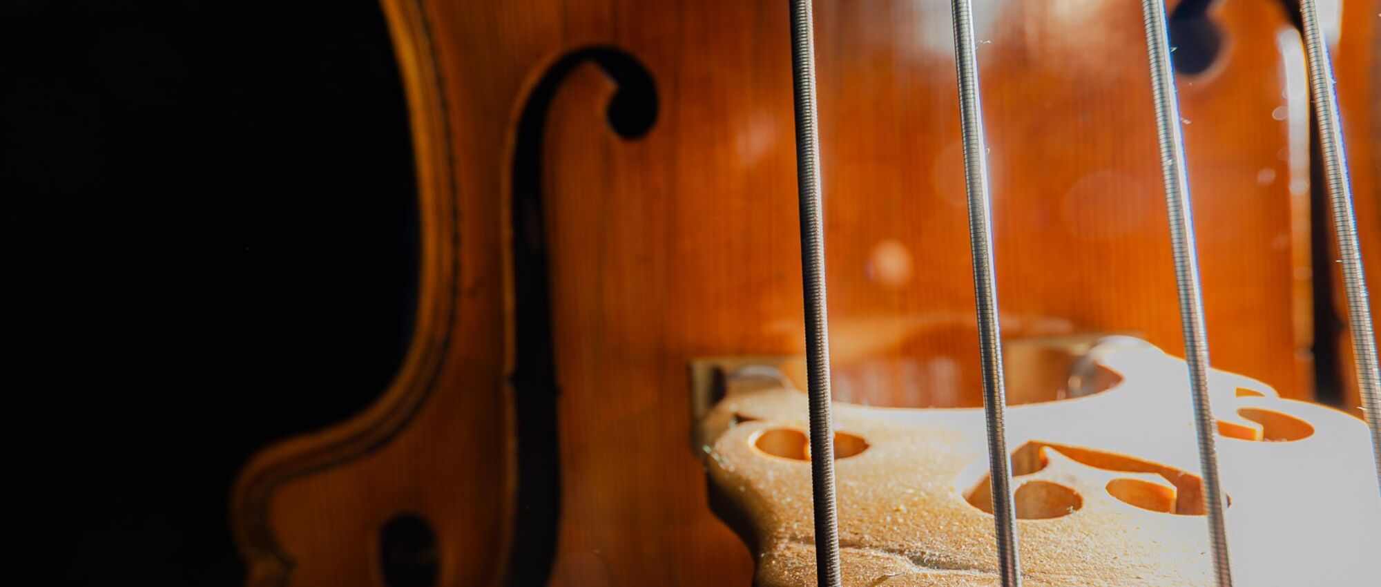 1. Philharmonisches Konzert | Wandel(n)