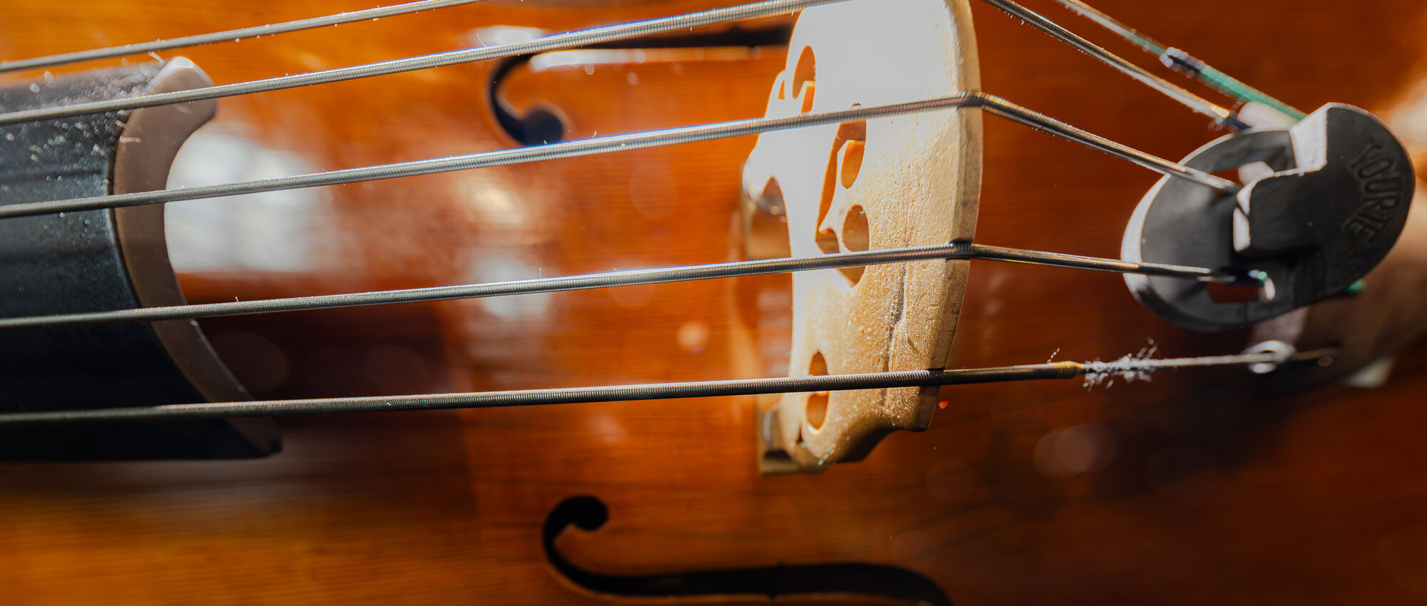 1. Philharmonisches Konzert | Wandel(n)