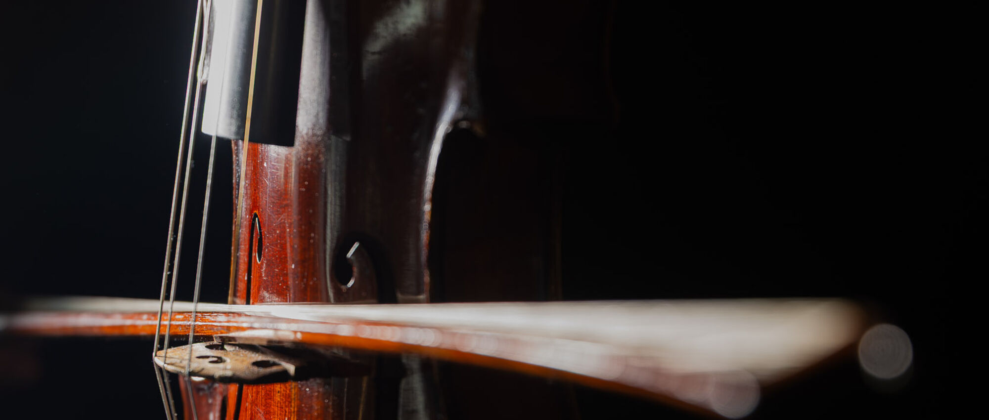 5. Philharmonisches Konzert | Titanen