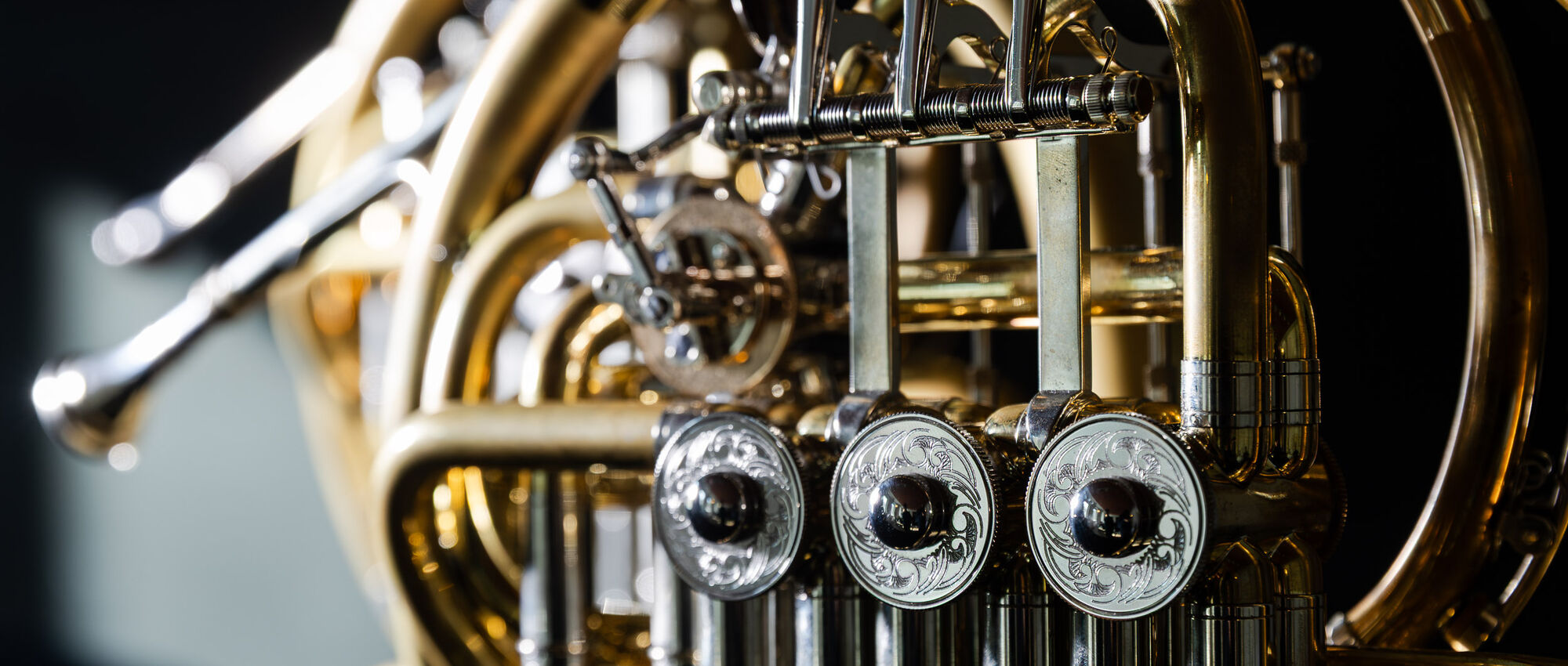 6. Philharmonisches Konzert | Im Rausch