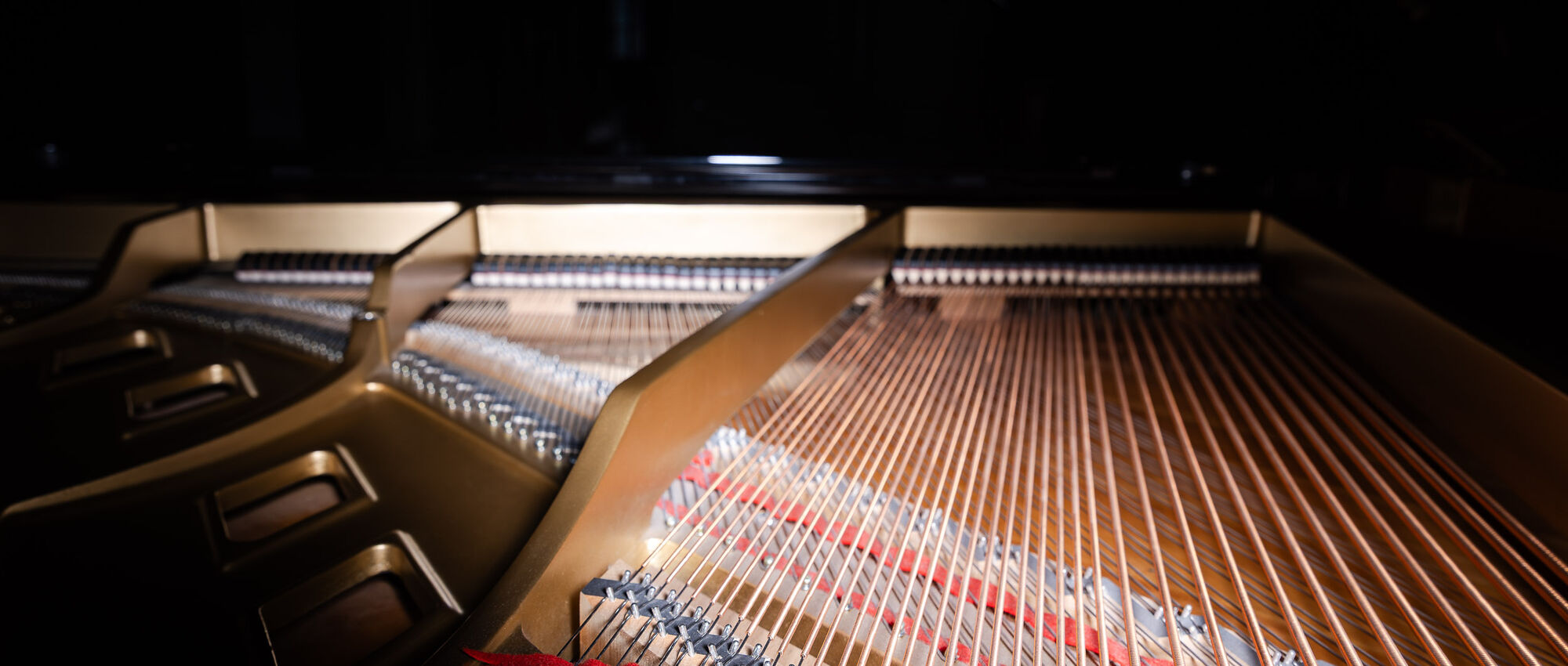 8. Philharmonisches Konzert | Mit Feuer